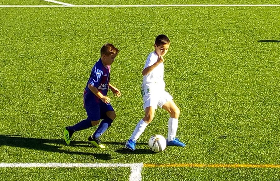 Calasparra B - Alevin B
