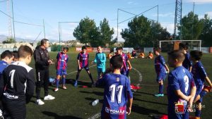 CD Isol - Alevin A 01